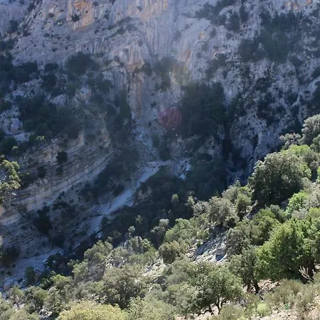 Antonella * Dorgali